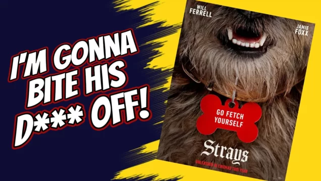 strays