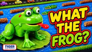 The WEIRDEST Frogger Ever Made