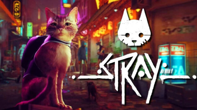stray cat game live WEB