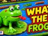 The WEIRDEST Frogger Ever Made